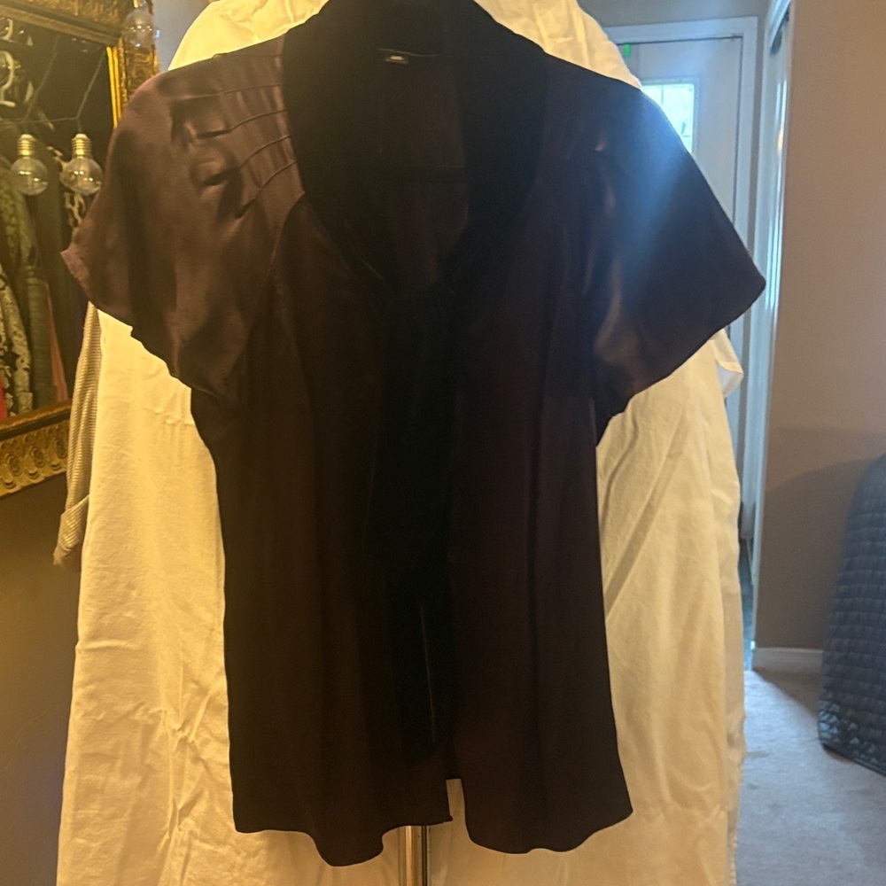 Banana Republic Dark Purple Velvet Collar Blouse Sz M
